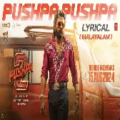 Pushpa Pushpa (Pushpa 2 Malayalam) Ranjith Govind